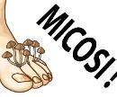 Micosi delle unghie