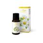 ARYA HD OLIO 10ML DAISY