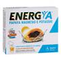 BODY SPRING PAPAYA FERMENTATA  MAGNESIO E POTASSIO 14 buste